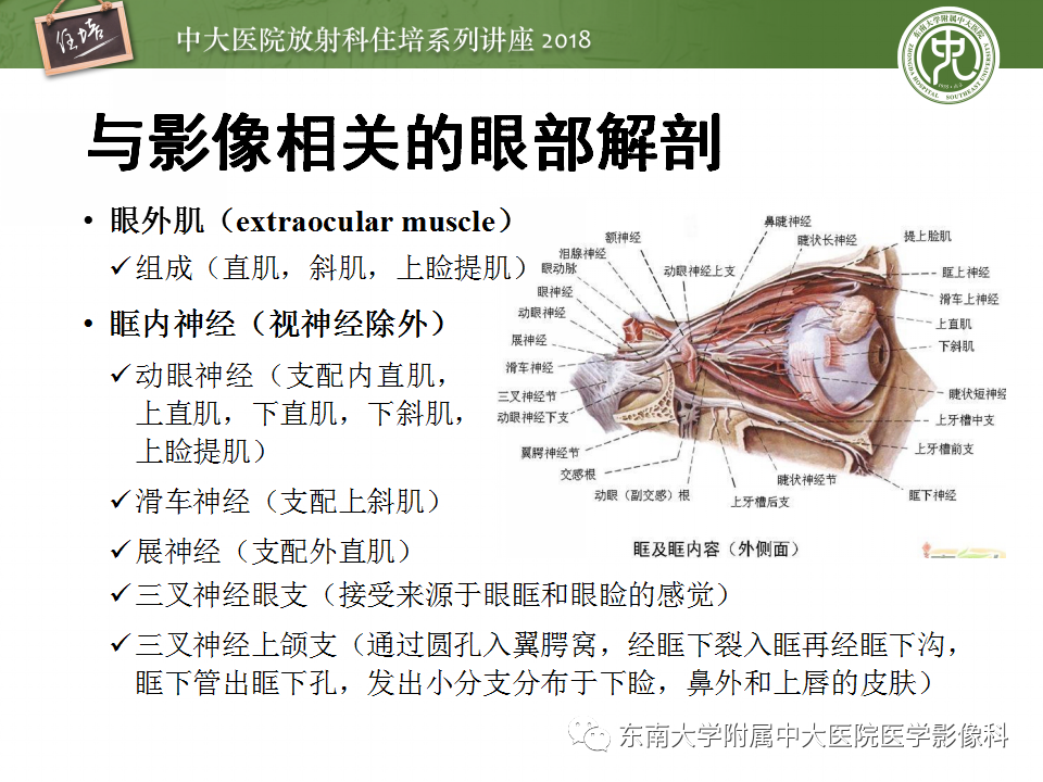 【PPT】眼眶内占位性病变的影像诊断