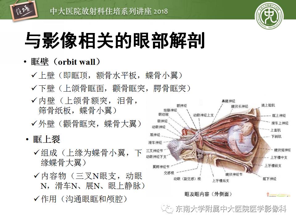 【PPT】眼眶内占位性病变的影像诊断