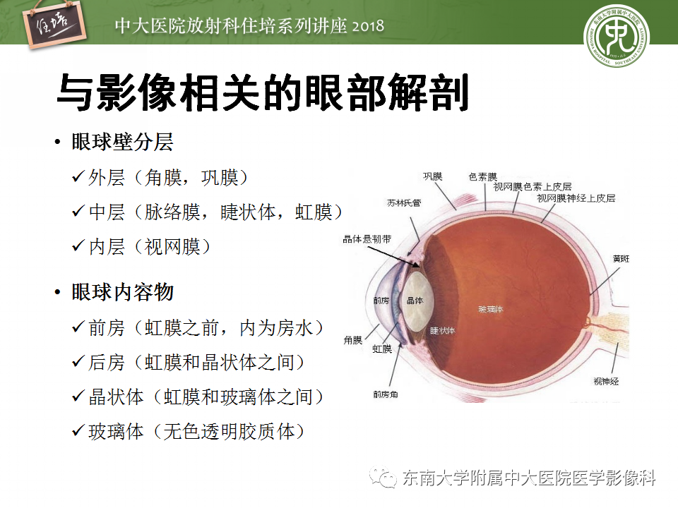 【PPT】眼眶内占位性病变的影像诊断
