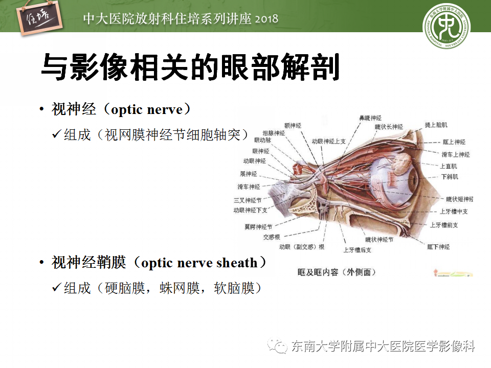 【PPT】眼眶内占位性病变的影像诊断