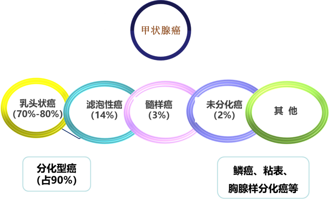 甲状腺结节良恶性的影像鉴别