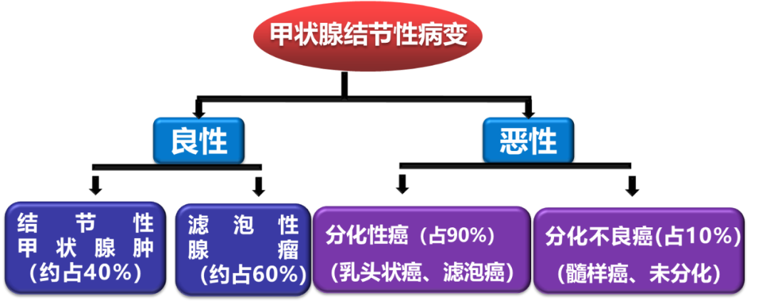 甲状腺结节良恶性的影像鉴别