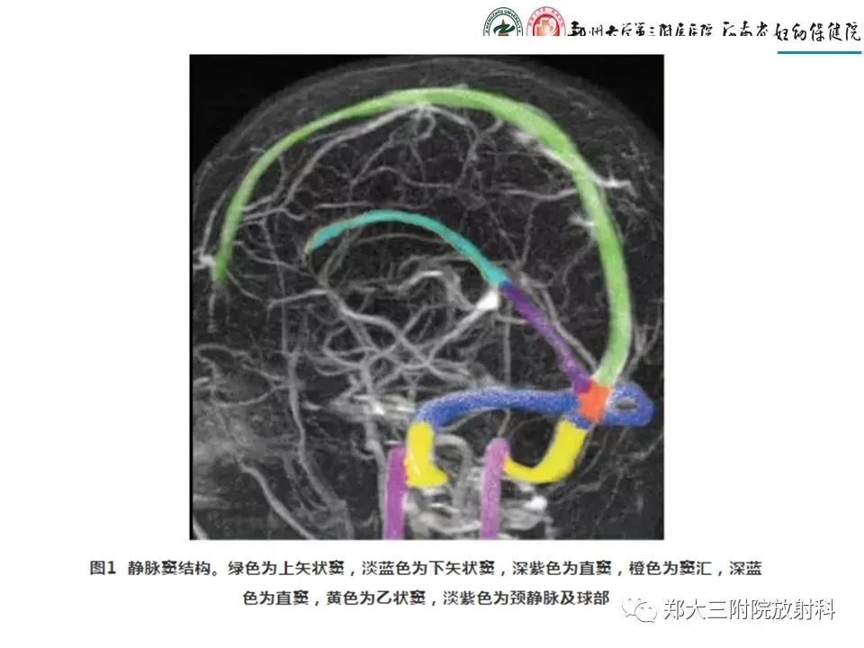 【PPT】静脉窦血栓的影像诊断及误区