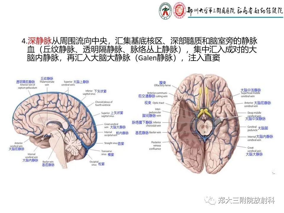 【PPT】静脉窦血栓的影像诊断及误区