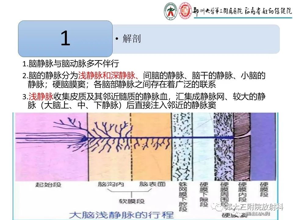 【PPT】静脉窦血栓的影像诊断及误区
