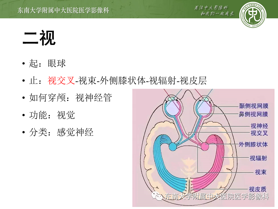 【PPT】颅神经原发肿瘤