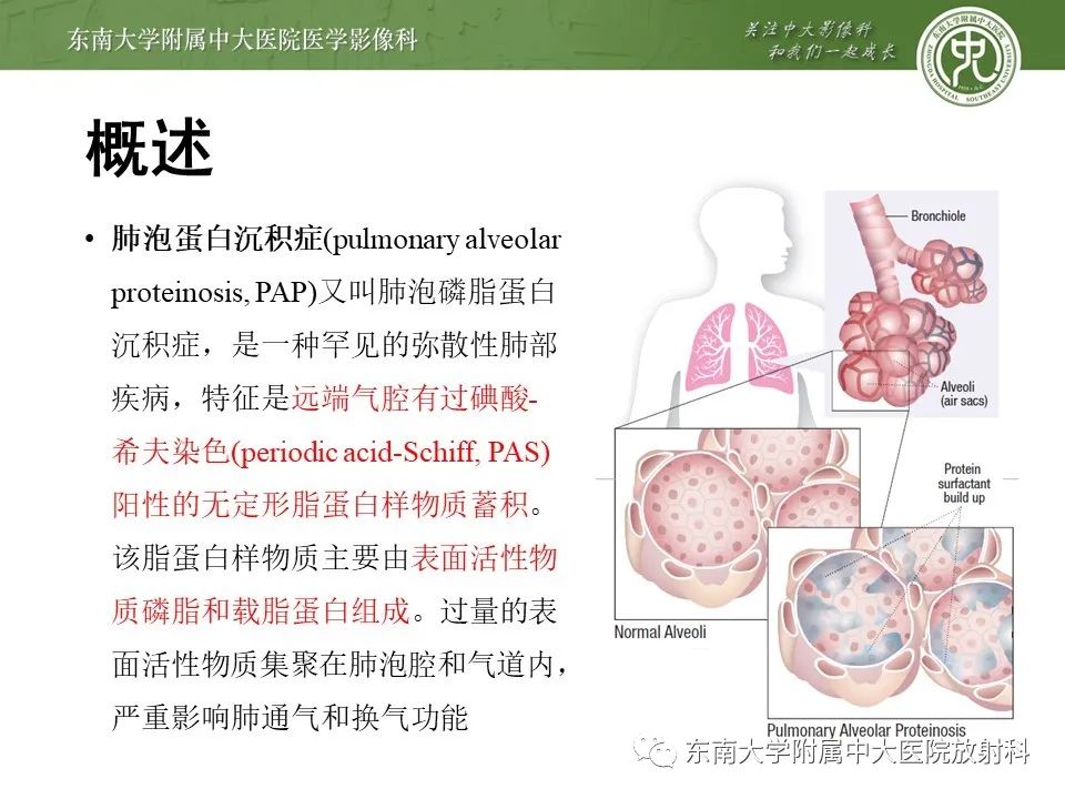 yxppt-2021-01-27_05-47-25_238282