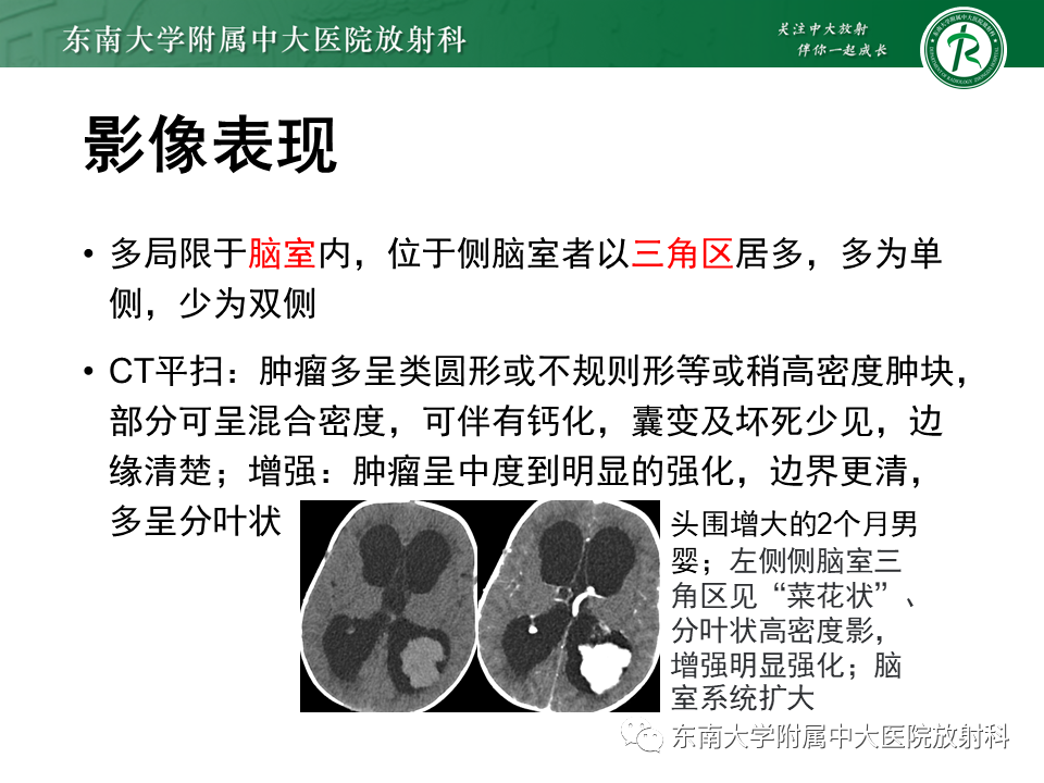 yxppt-2021-01-28_12-08-52_614110