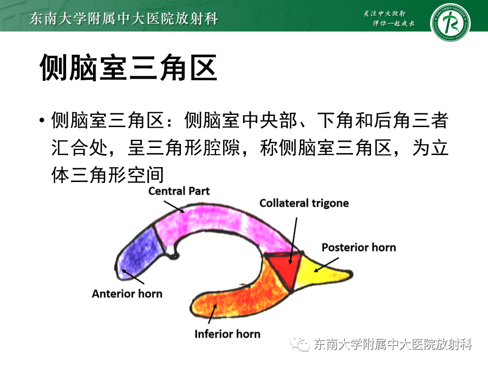 yxppt-2021-01-28_12-08-41_240015