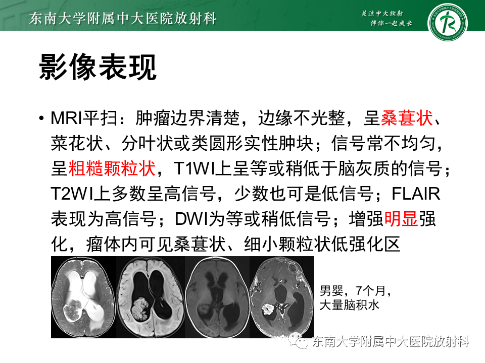 yxppt-2021-01-28_12-08-54_903098