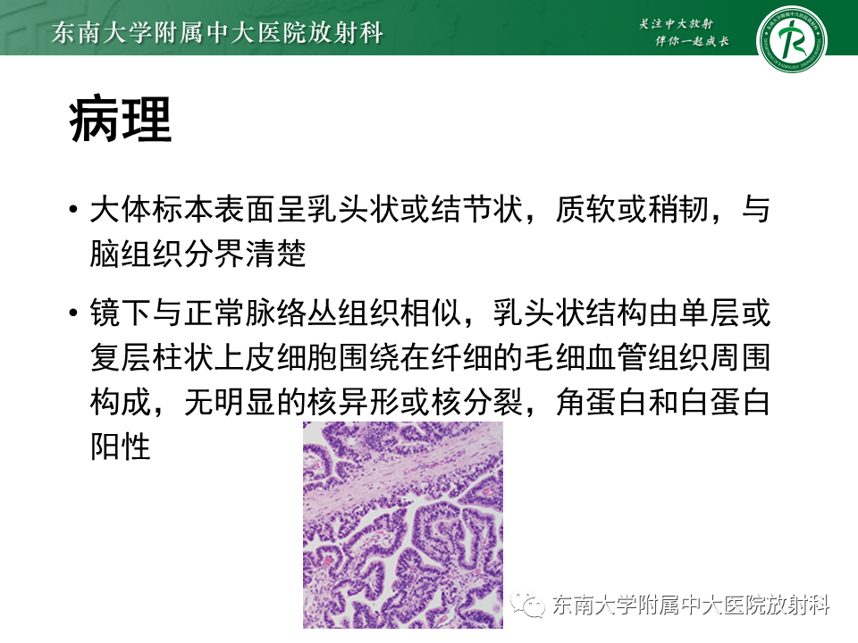 yxppt-2021-01-28_12-08-50_726972