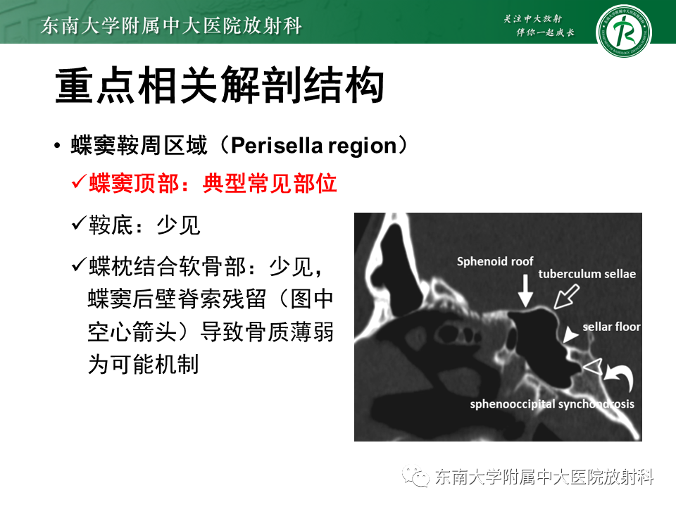 yxppt-2021-01-28_12-15-41_269456