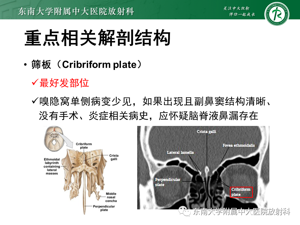 yxppt-2021-01-28_12-15-39_077403