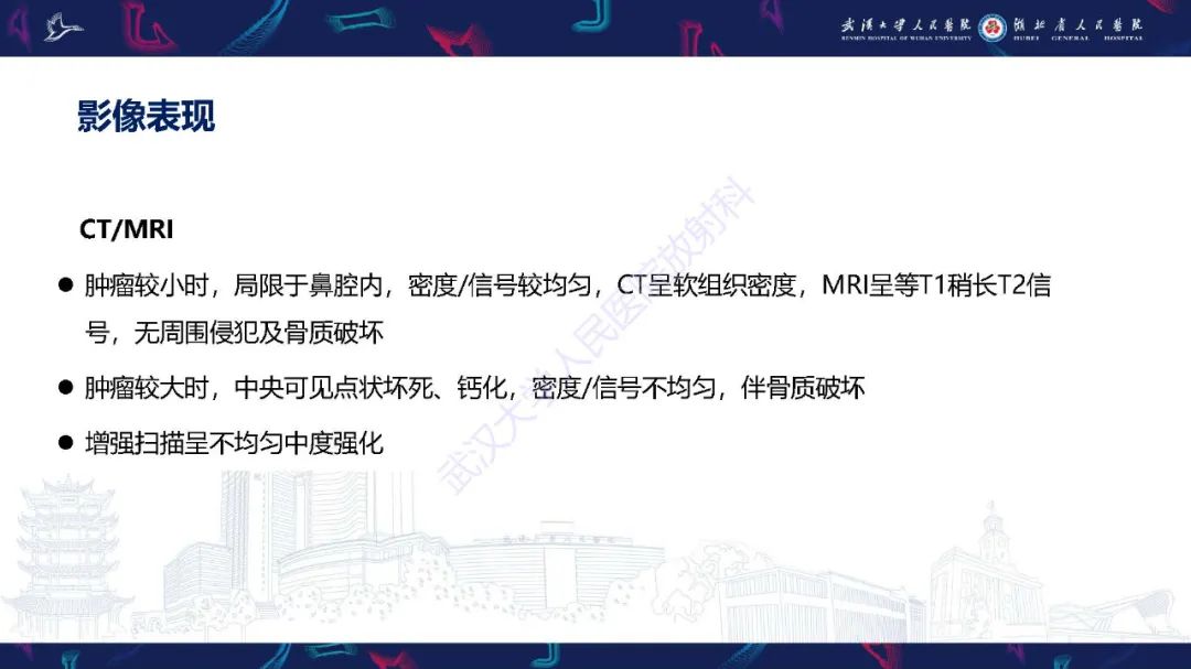 【PPT】鼻腔鼻窦神经内分泌癌影像诊断及鉴别诊断-25