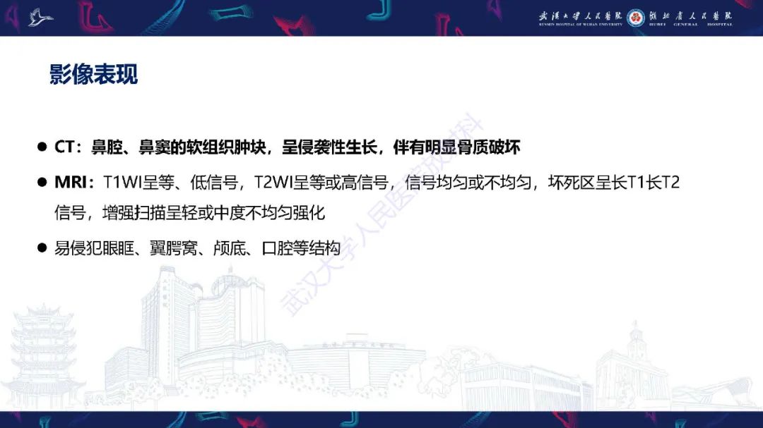 【PPT】鼻腔鼻窦神经内分泌癌影像诊断及鉴别诊断-12