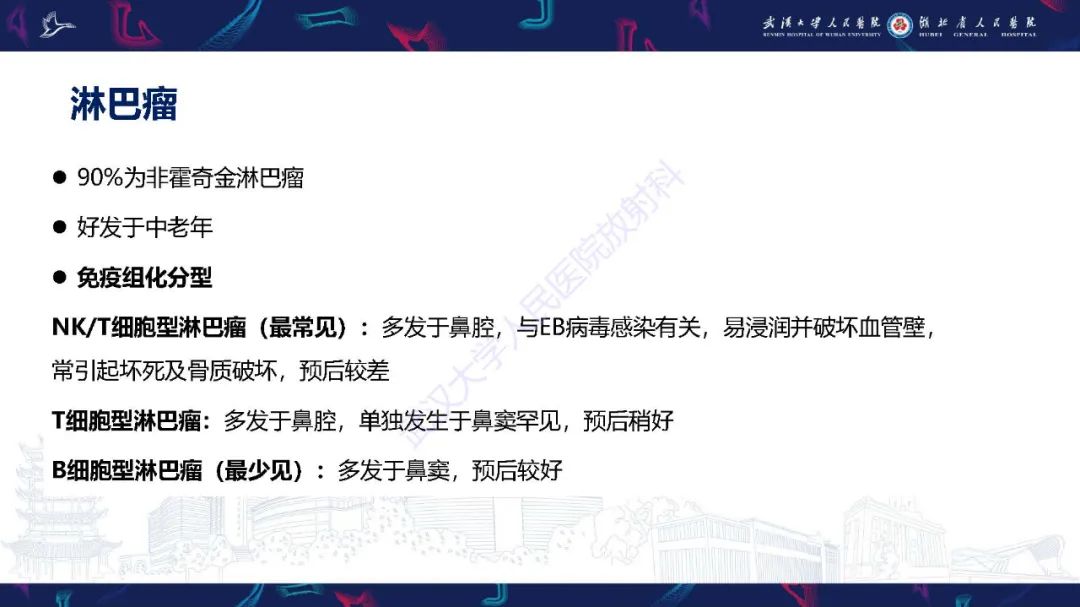 【PPT】鼻腔鼻窦神经内分泌癌影像诊断及鉴别诊断-28