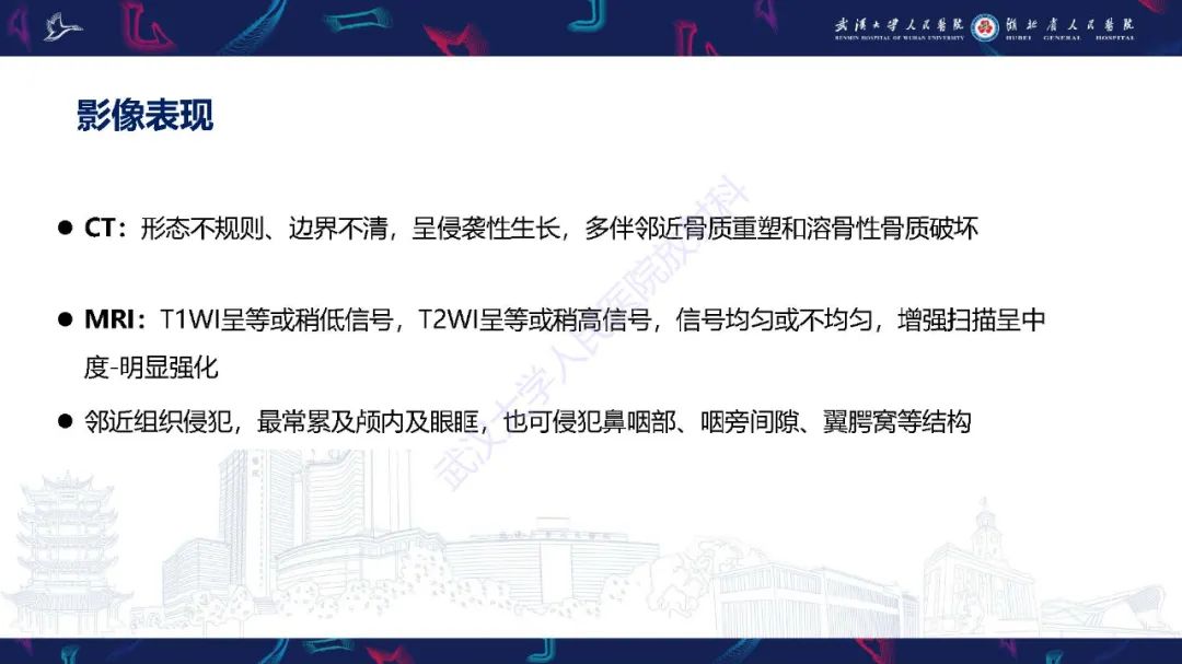 【PPT】鼻腔鼻窦神经内分泌癌影像诊断及鉴别诊断-21