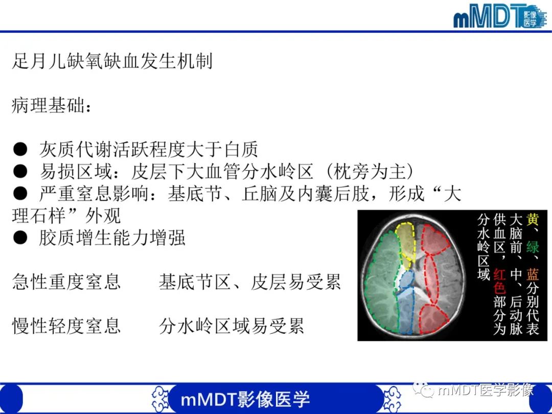 【PPT】新生儿HIE影像学表现-6