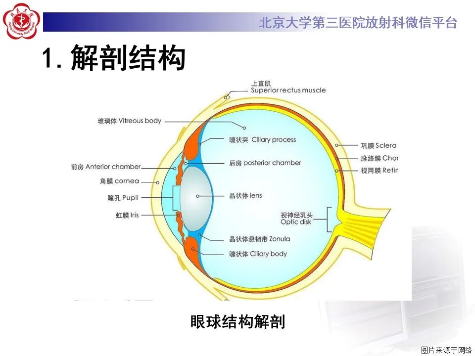 【PPT】脉络膜黑色素瘤的影像-10