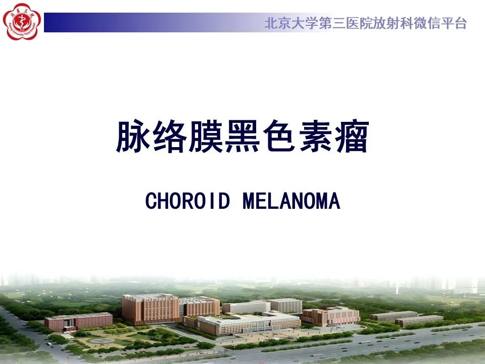 【PPT】脉络膜黑色素瘤的影像-9