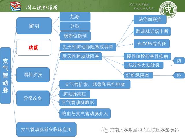 【PPT】支气管动脉：解剖、功能及增粗和异常改变