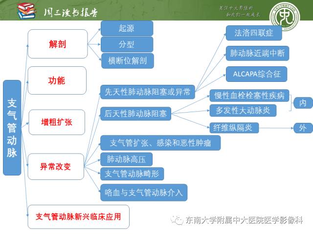 【PPT】支气管动脉：解剖、功能及增粗和异常改变