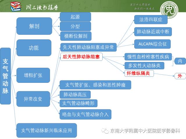 【PPT】支气管动脉：解剖、功能及增粗和异常改变