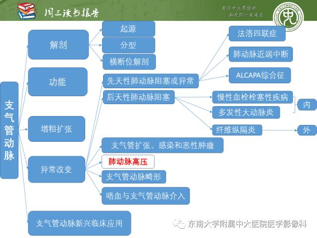 【PPT】支气管动脉：解剖、功能及增粗和异常改变