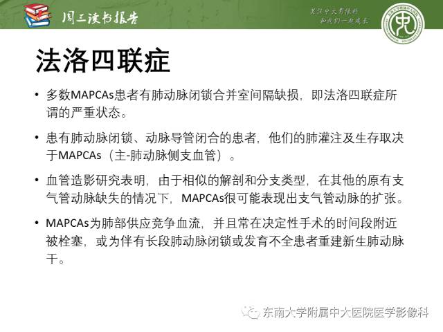 【PPT】支气管动脉：解剖、功能及增粗和异常改变