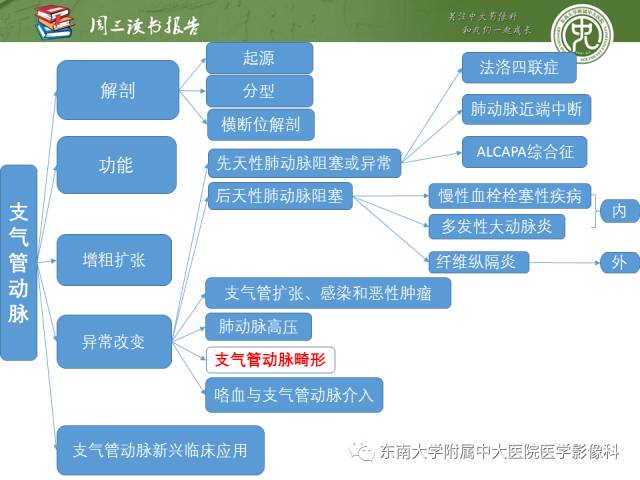 【PPT】支气管动脉：解剖、功能及增粗和异常改变