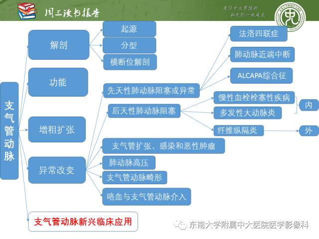 【PPT】支气管动脉：解剖、功能及增粗和异常改变