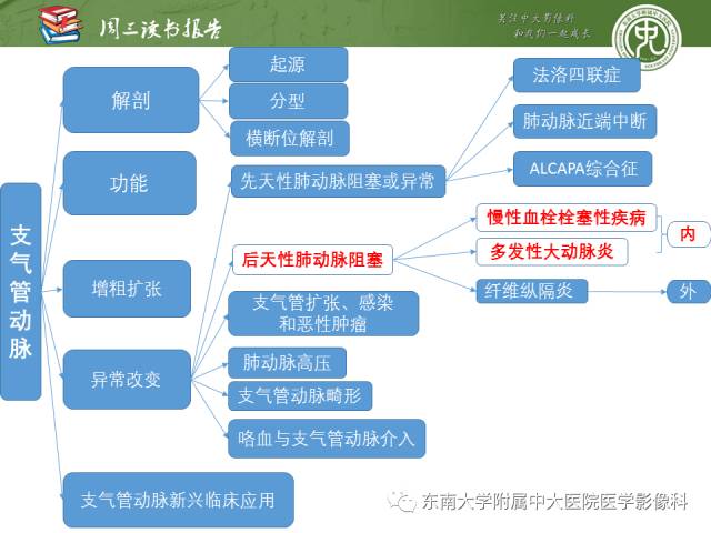【PPT】支气管动脉：解剖、功能及增粗和异常改变