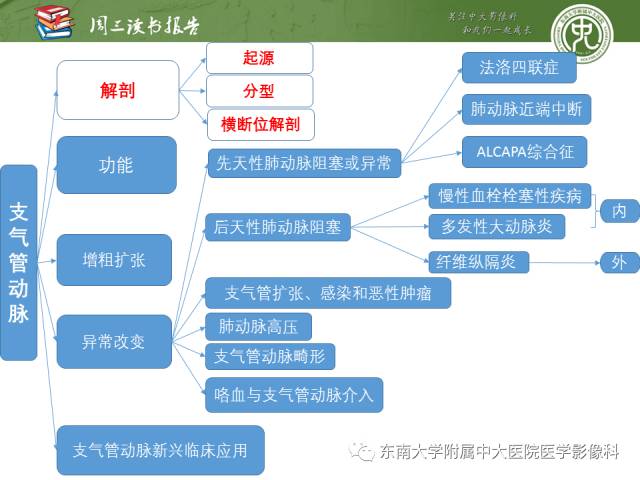 【PPT】支气管动脉：解剖、功能及增粗和异常改变