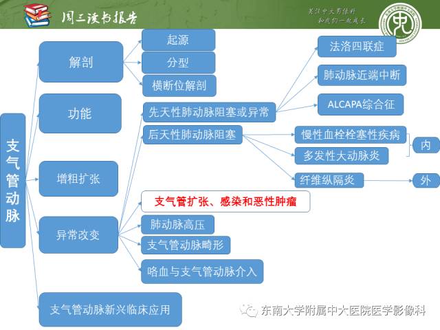 【PPT】支气管动脉：解剖、功能及增粗和异常改变