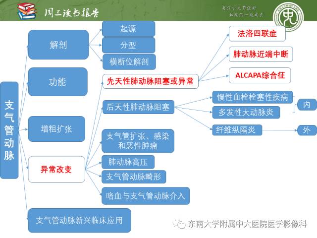 【PPT】支气管动脉：解剖、功能及增粗和异常改变