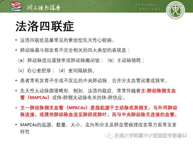 【PPT】支气管动脉：解剖、功能及增粗和异常改变