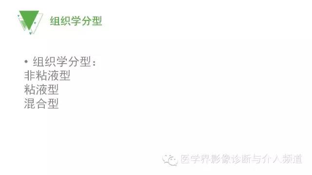 【PPT】细支气管肺泡肺癌的CT诊断