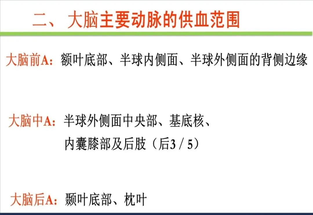 从梗死部位推测责任血管：脑血管解剖-7