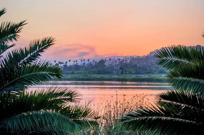 从梗死部位推测责任血管：脑血管解剖-11