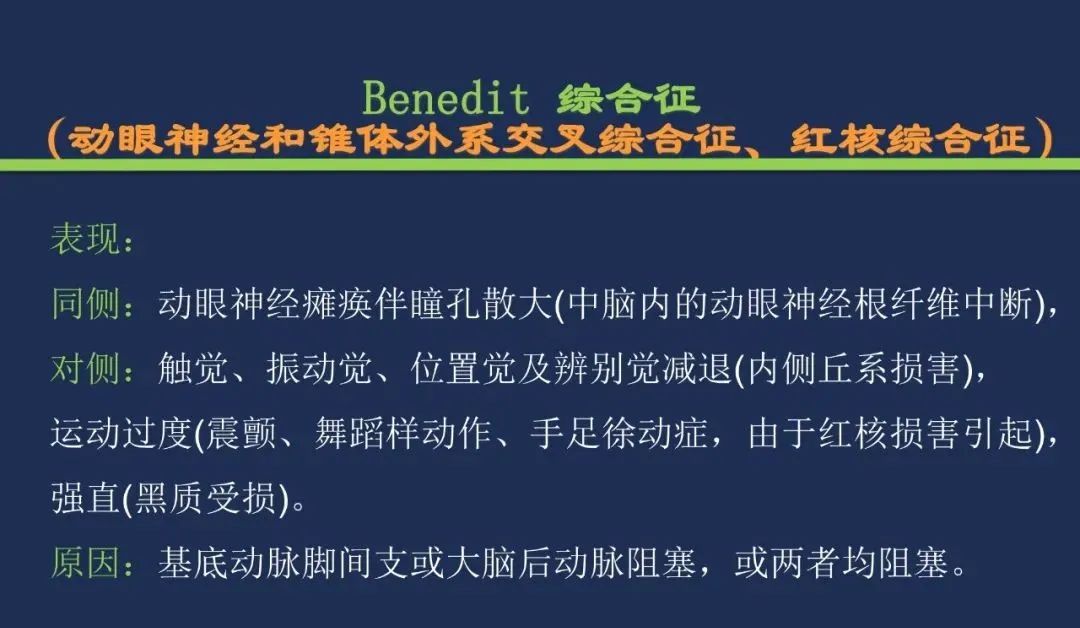 从梗死部位推测责任血管：脑血管解剖-145