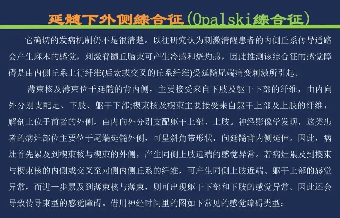 从梗死部位推测责任血管：脑血管解剖-181
