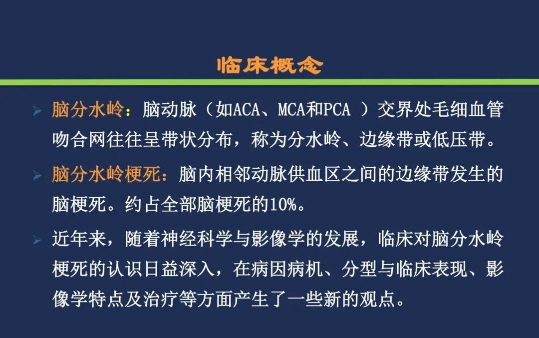 从梗死部位推测责任血管：脑血管解剖-216