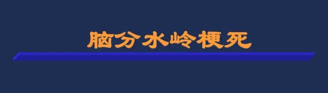 从梗死部位推测责任血管：脑血管解剖-215