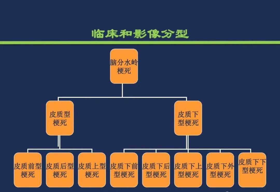 从梗死部位推测责任血管：脑血管解剖-230