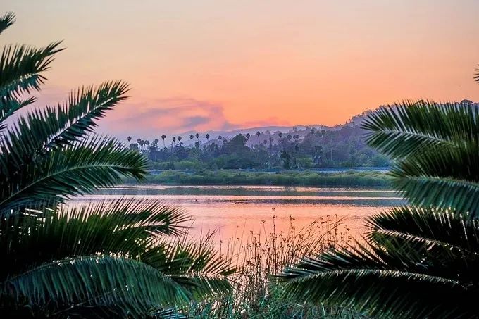 从梗死部位推测责任血管：脑血管解剖-12