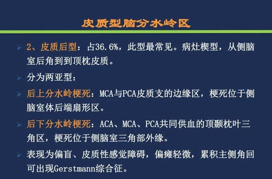 从梗死部位推测责任血管：脑血管解剖-237