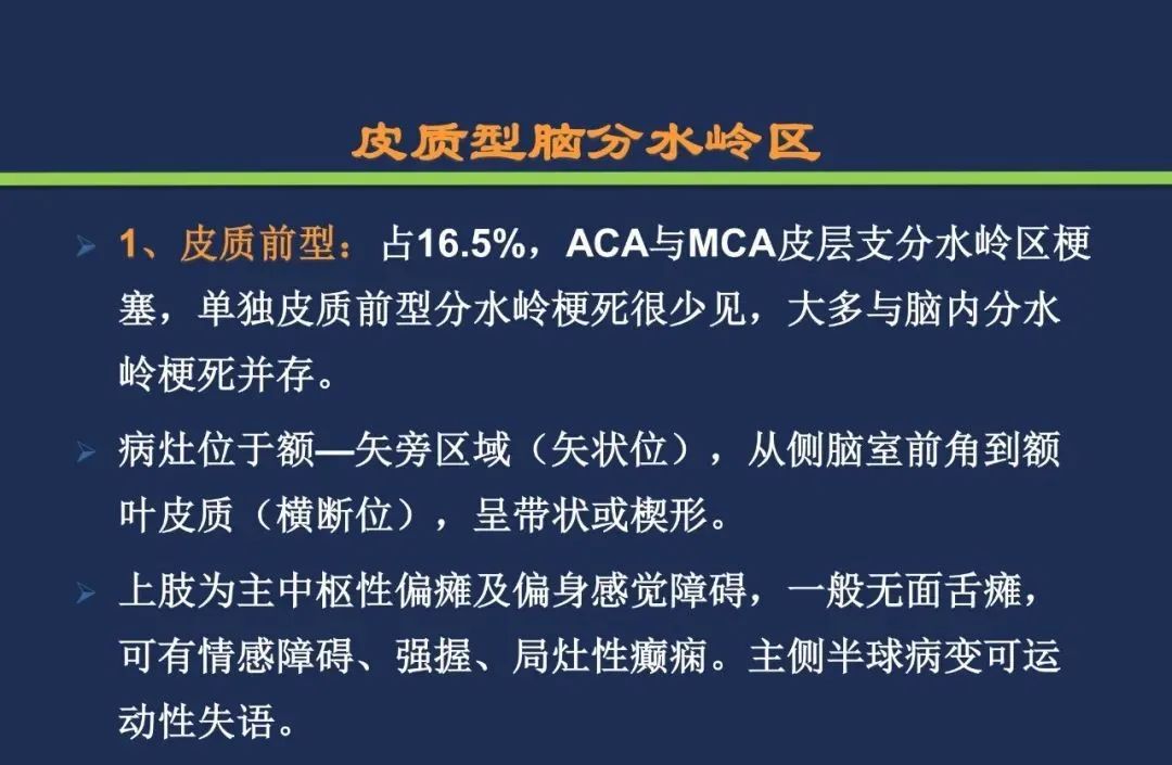 从梗死部位推测责任血管：脑血管解剖-236