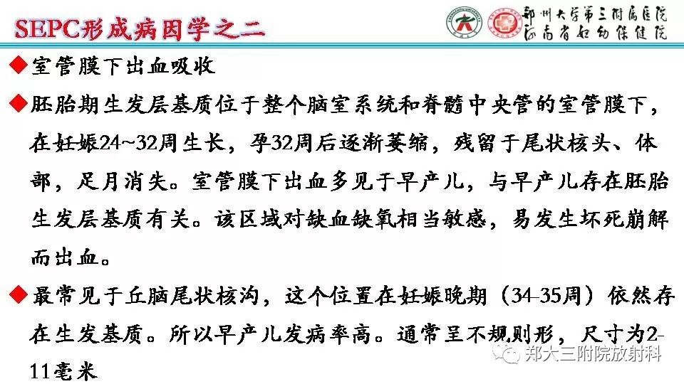 【PPT】室周假性囊肿-14