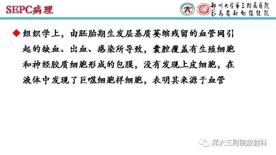 【PPT】室周假性囊肿-12