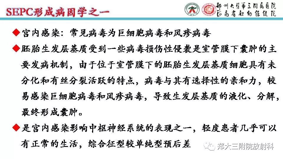 【PPT】室周假性囊肿-13